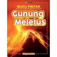 Buku Pintar Mengenal Bencana Alam Di Indonesia